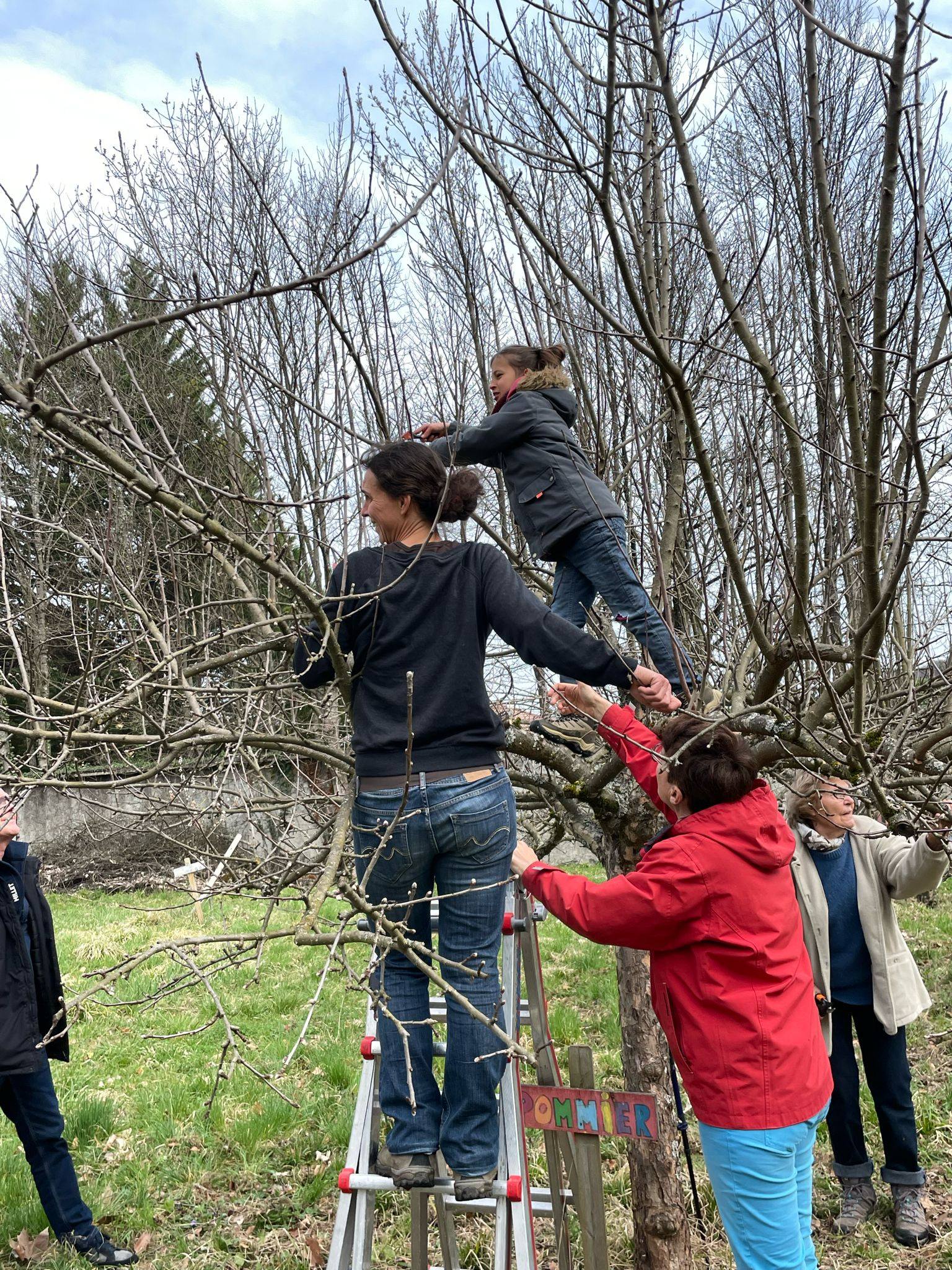 You are currently viewing Taille des arbres fruitiers au verger citoyen du parc Beylier de Varces