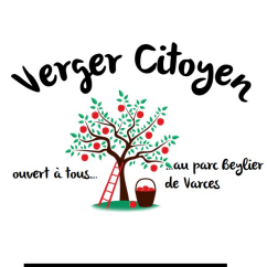 You are currently viewing Ramassage des cerises au verger citoyen